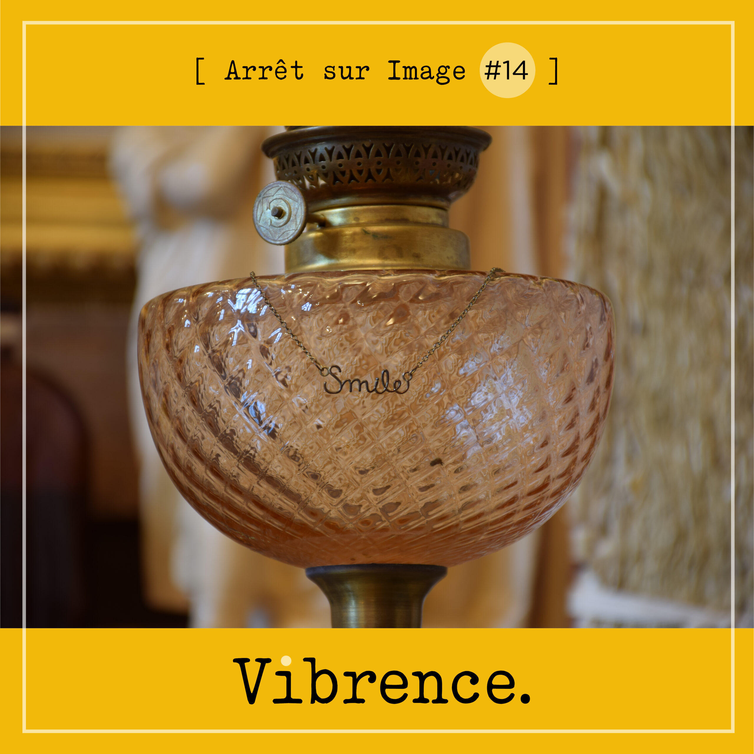 Arrêt sur Image #14