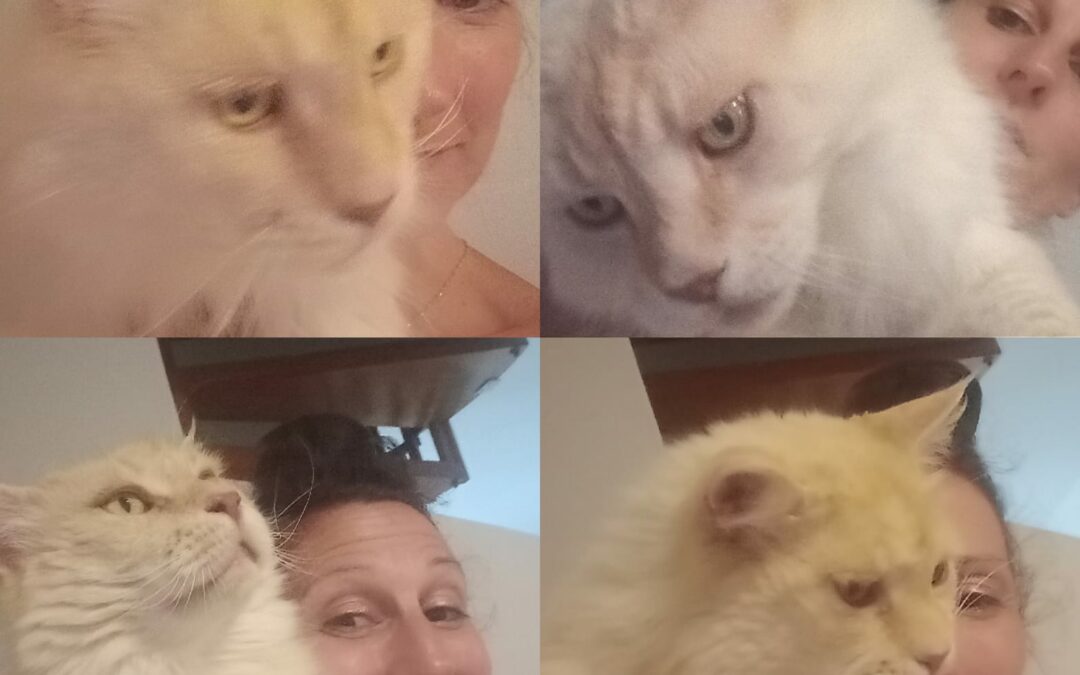 Selfie du Jour
