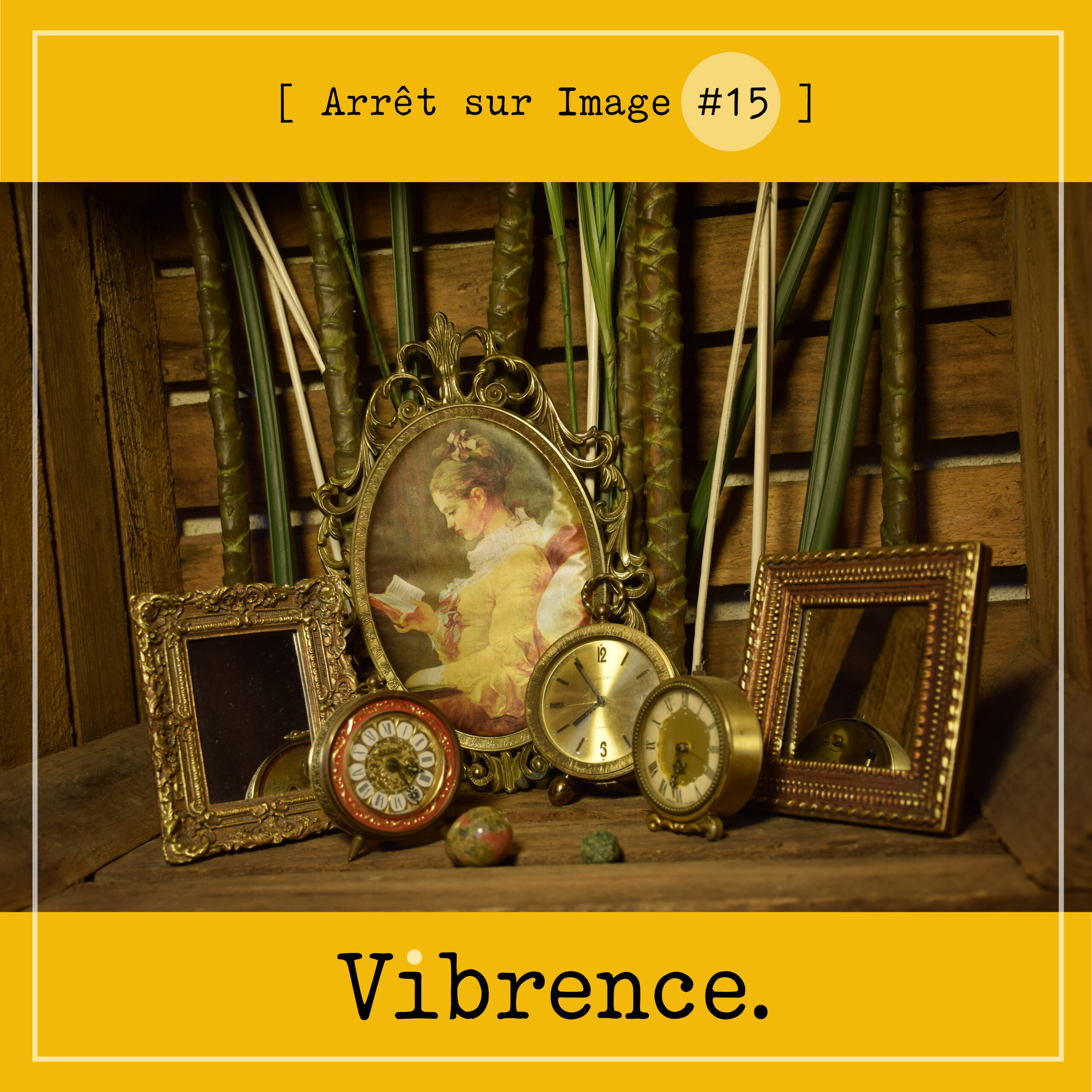 Arrêt sur Image #15